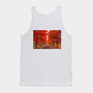 Autumn on a country lane Tank Top
